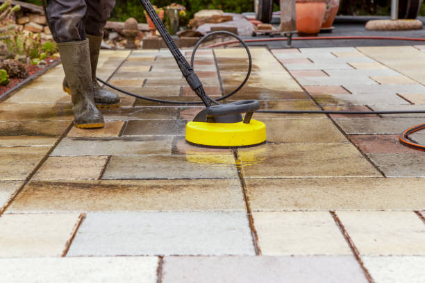 Best House Exterior Washing  in Victoria, MN